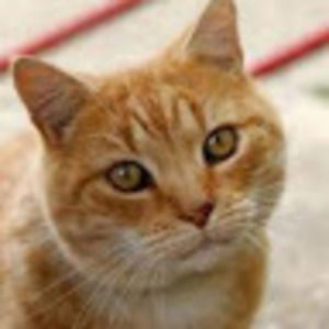 Meet your Posher, Katelin